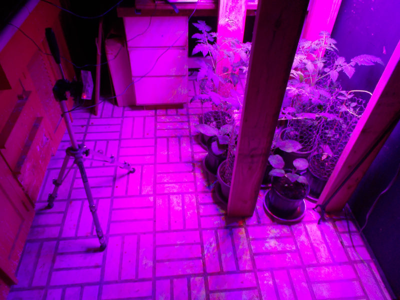 Raspberry Pi Timelapse.