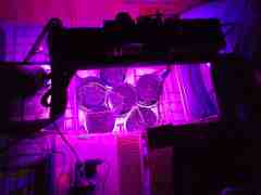 First grow test