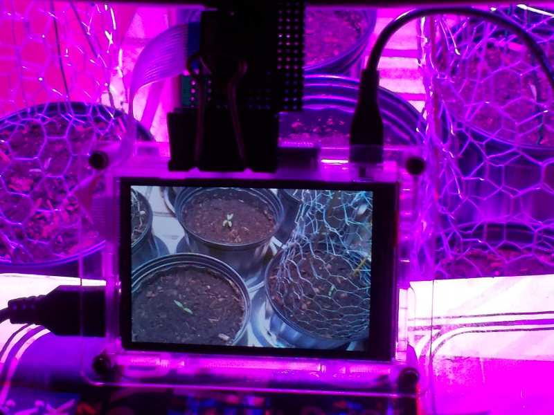 Raspberry Pi Timelapse.